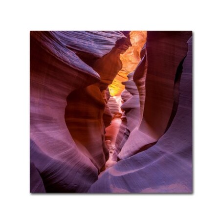 Sandipan Biswas 'Fire In Canyon' Canvas Art,35x35